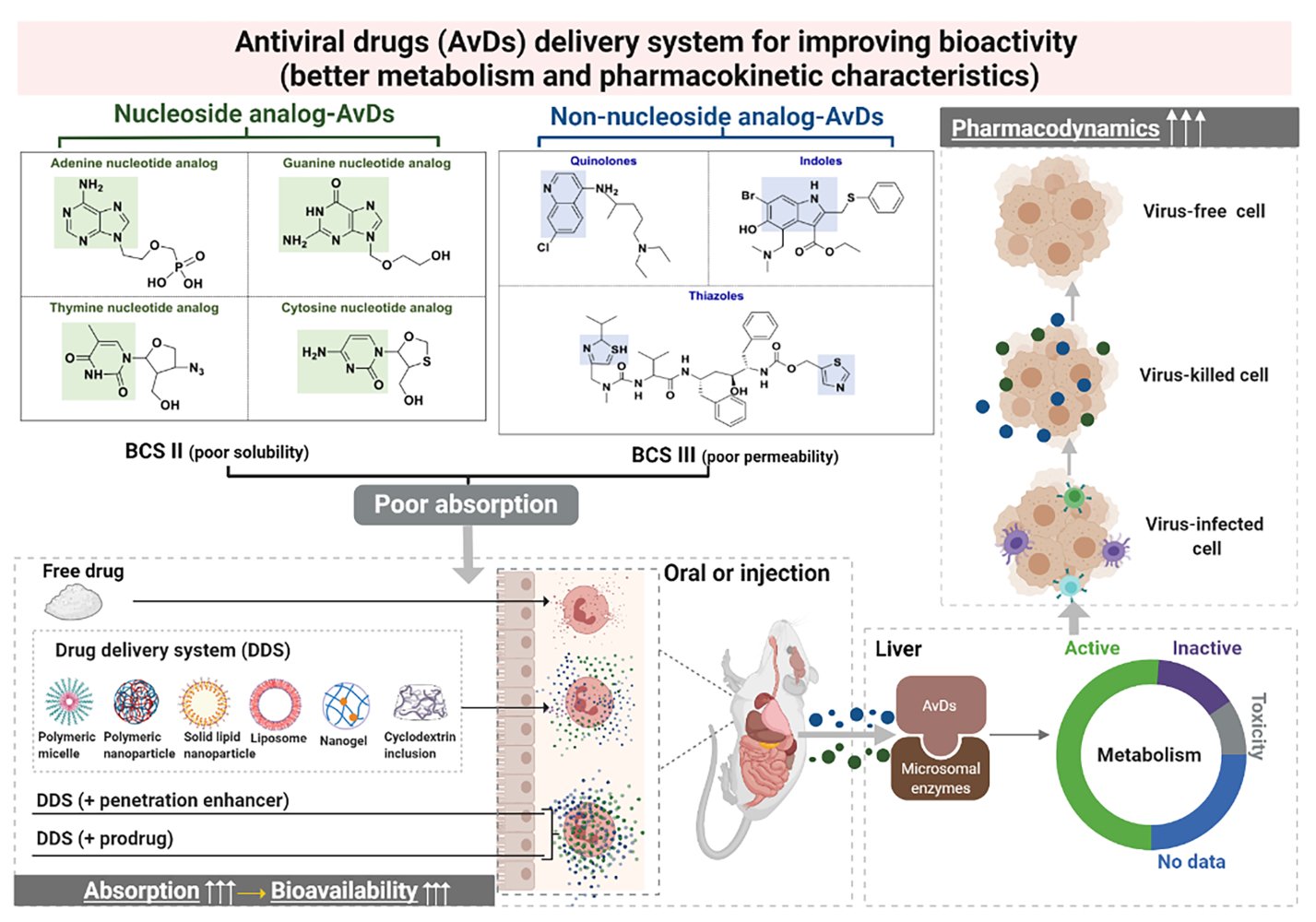 Avd Delivery System For Enhanced Bioactivity And Pk Properties Ijn