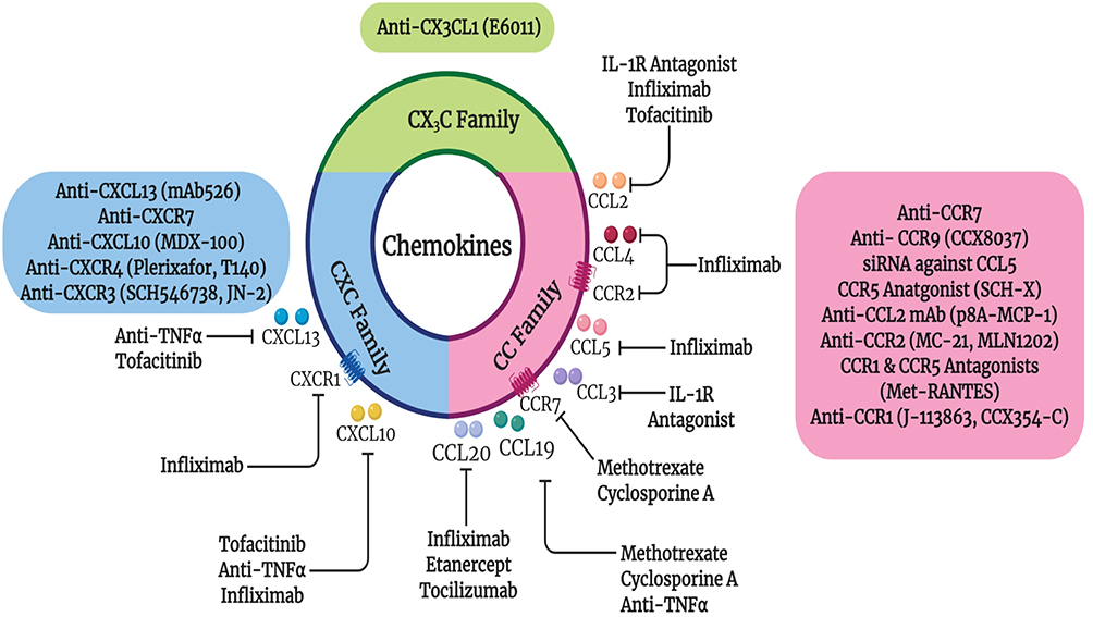 Chemokine Receptors in Allergy, Inflammation, and Infectious Disease