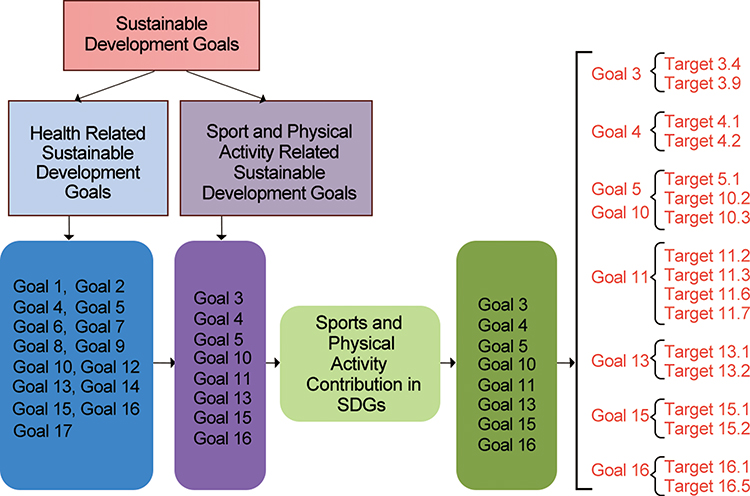 Sustainable Development Goals, Sports and Physical Activity: The Local