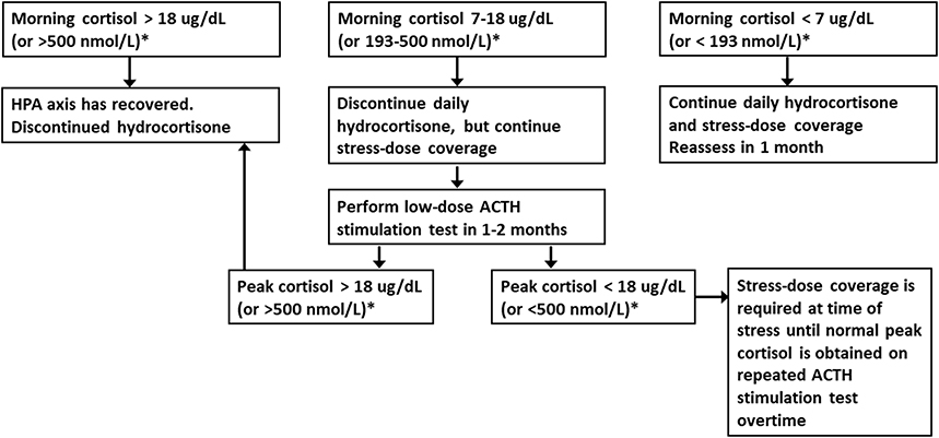 Cortisol levels (nmol/l) in short-ACTH test. Results are means 6