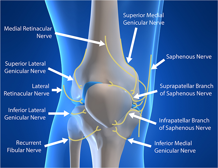 STEP guidelines for knee pain