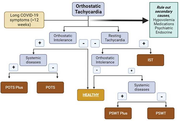 Symptom presentation by phenotype of postural orthostatic tachycardia  syndrome